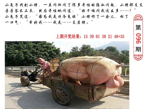 096期澳门生活幽默[图]